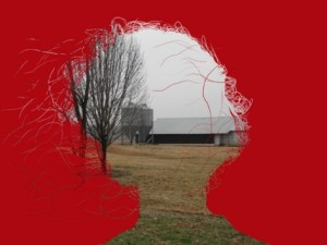 finalrbg_web.preview